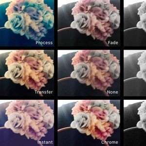 Meet your Posher, Lin